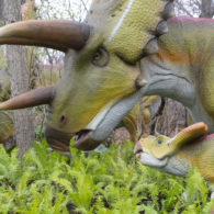 Dinosaurs Woodland Park Zoo