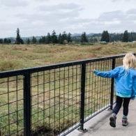 Mima Mounds