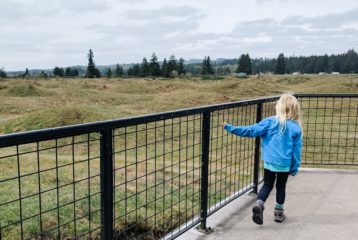 Mima Mounds