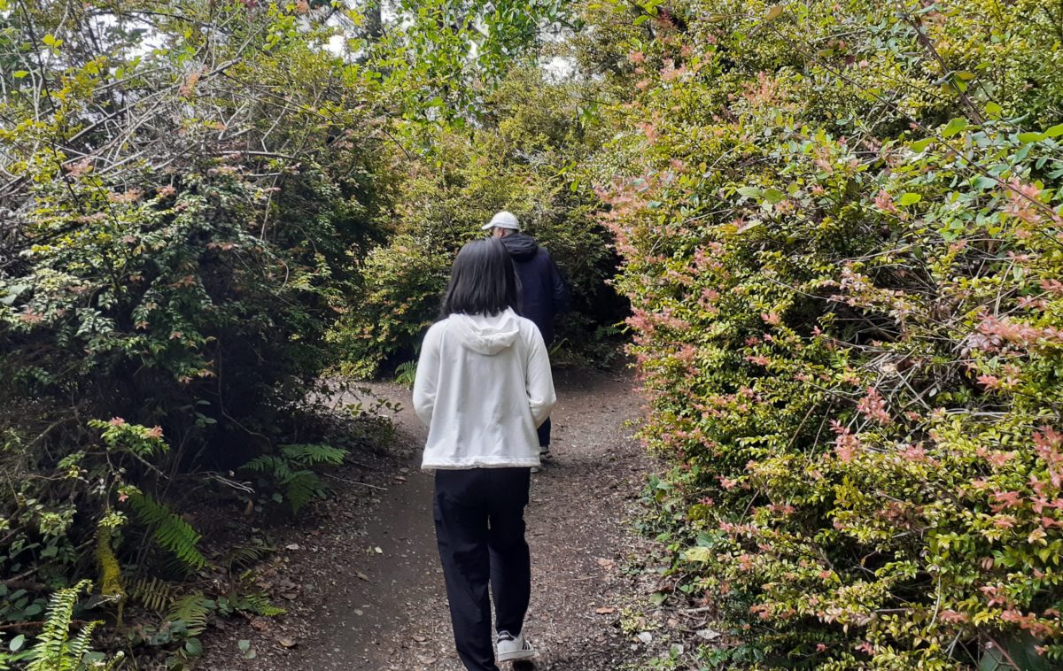 things to do Point Defiance