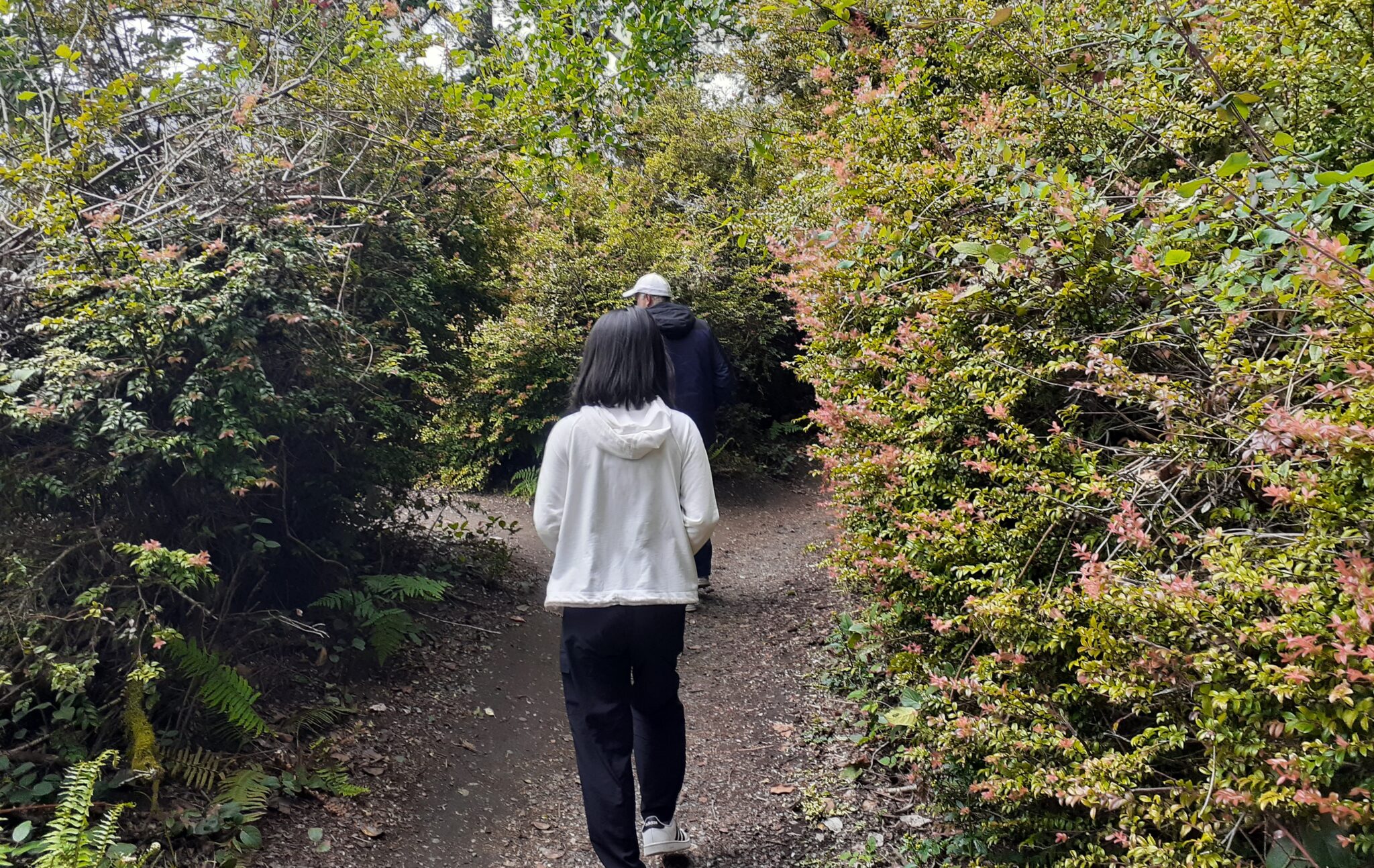things to do Point Defiance