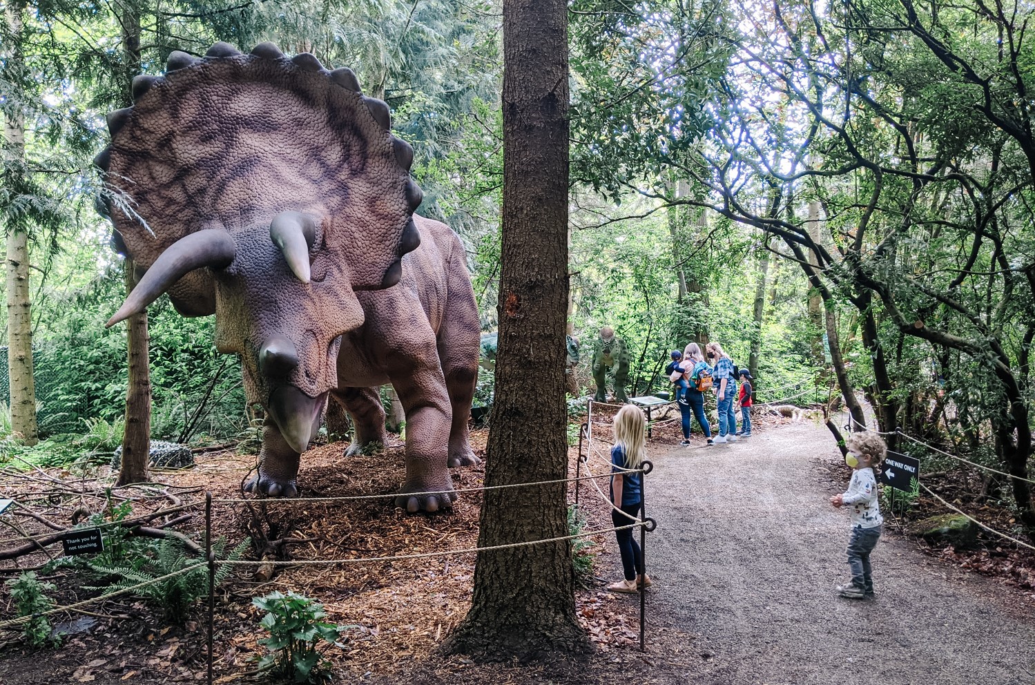 Woodland Park Zoo dinosaur exhibit