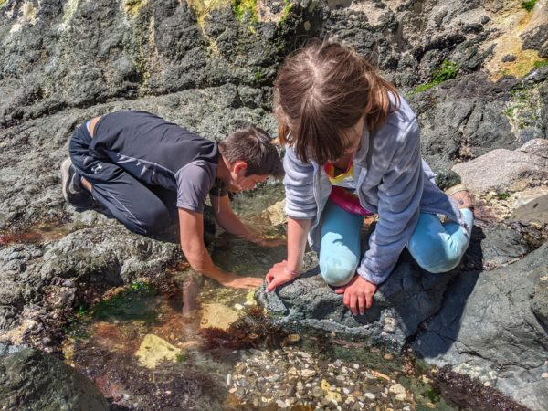 Tide pools 