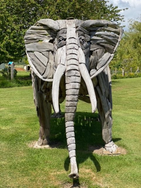 The large elephant in the middle of the lawn