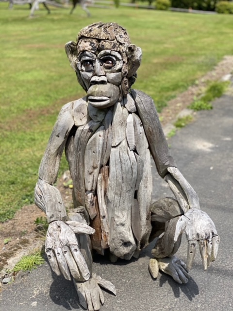 A gorilla sits on the driveway
