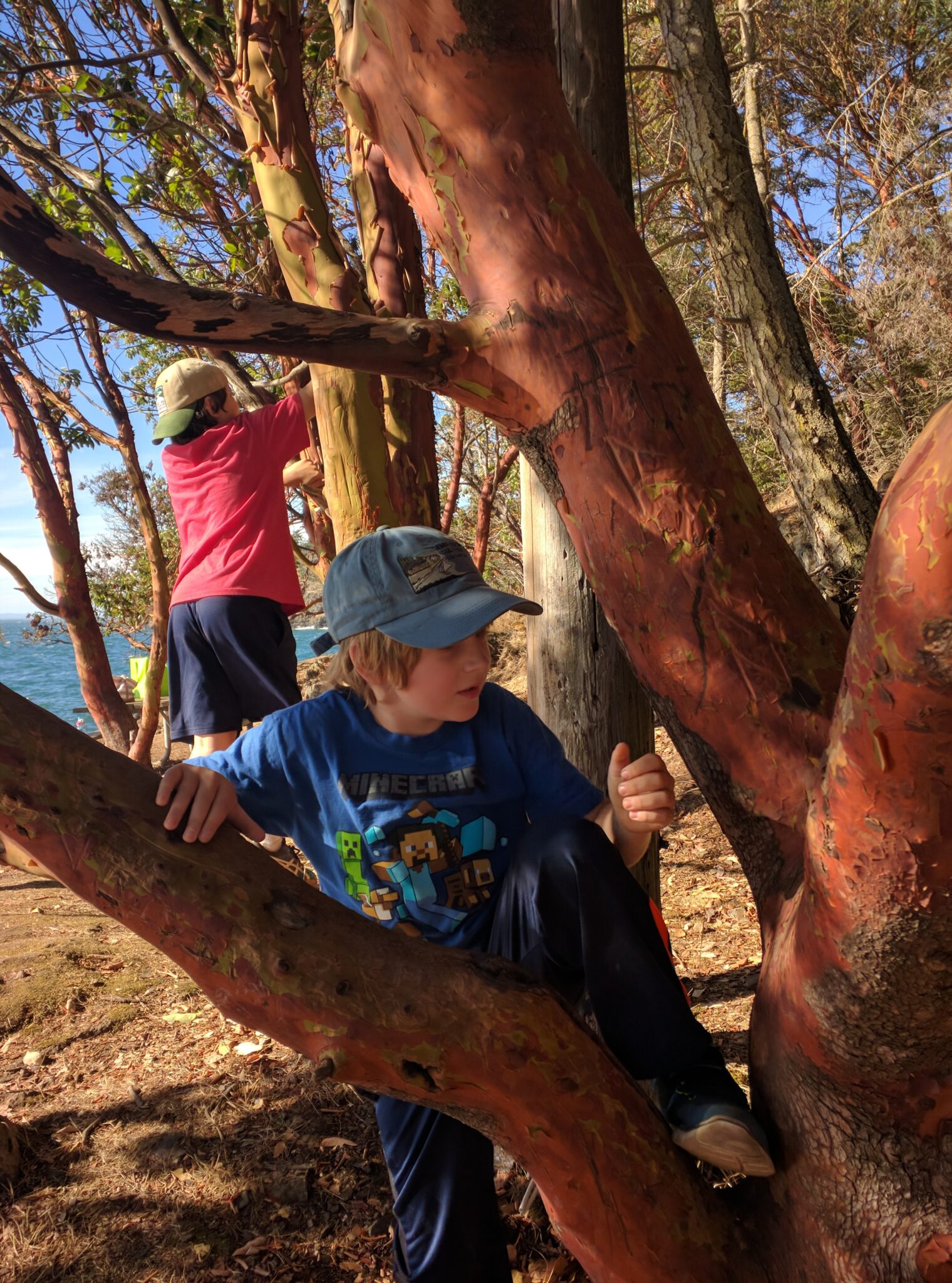 nature / Jeff Lee column