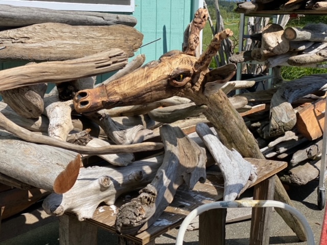 A baby giraffe head shaped by driftwood.