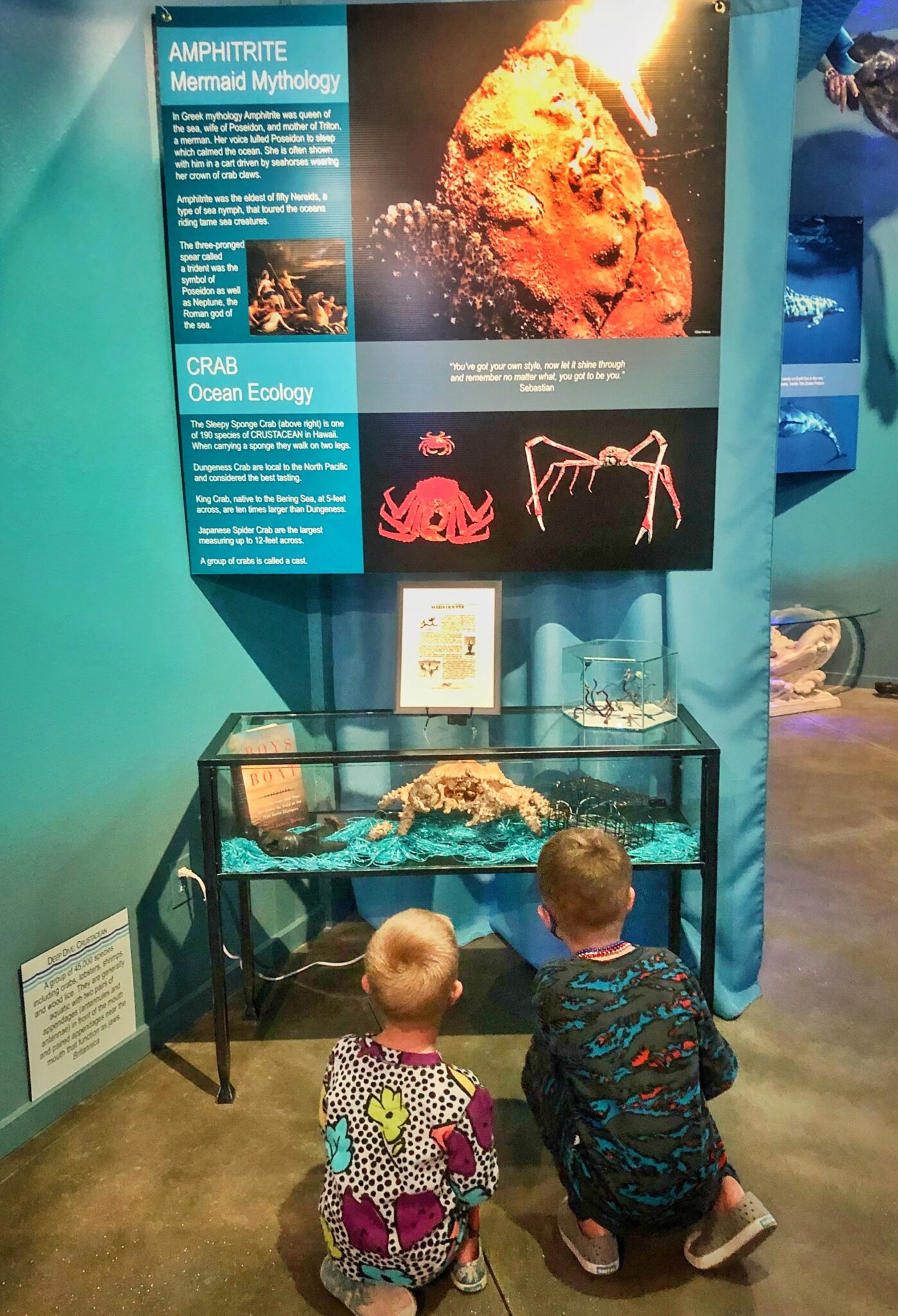 International mermaid museum, Westhaven Westport 