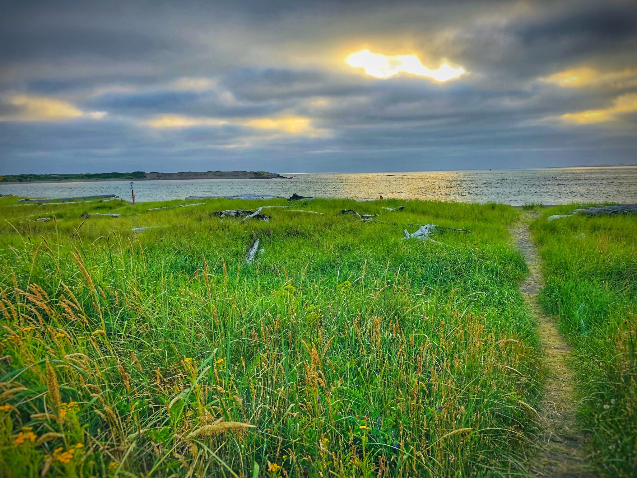 Half moon bay Westport 