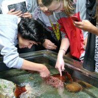 free aquarium