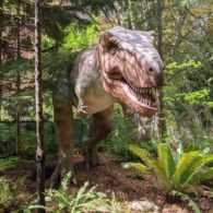 Dino Don t. rex