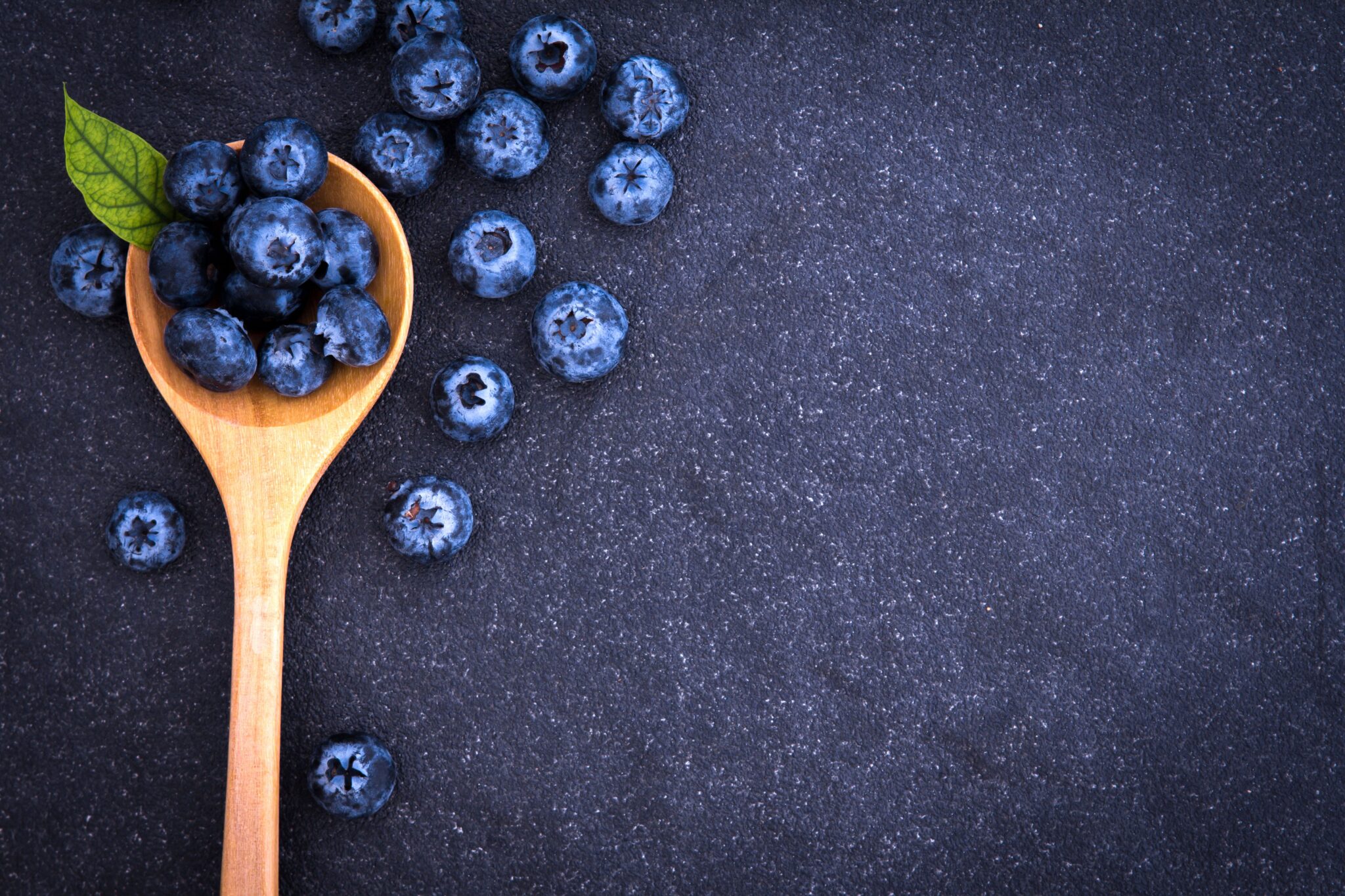 blueberry recipe contest