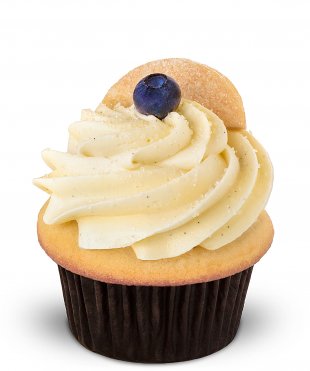 blueberry recipe contest
