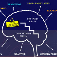 downstairs brain