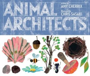 animal architects cover