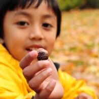 take-home activity