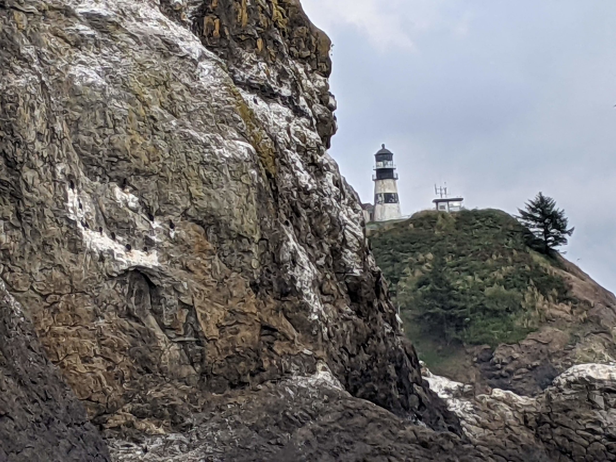 Cape Disappointment