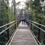 Bellevue Botanical Garden / Jasmin Thankachen