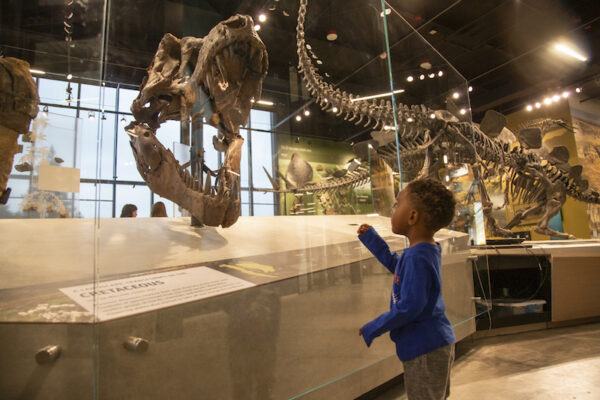 free museums for teachers