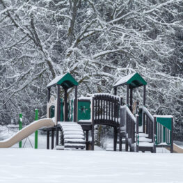 A snowy winter day at Beaver Lake Regional Park, located on southern Vancouver Island.