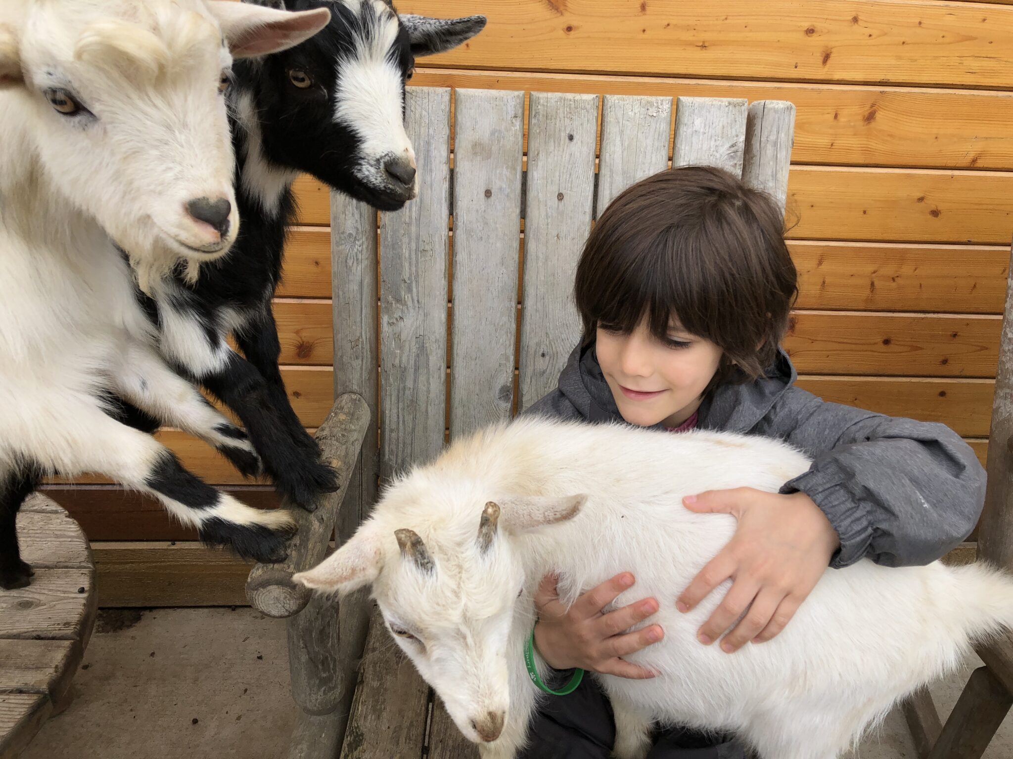 Sammamish Animal Sanctuary