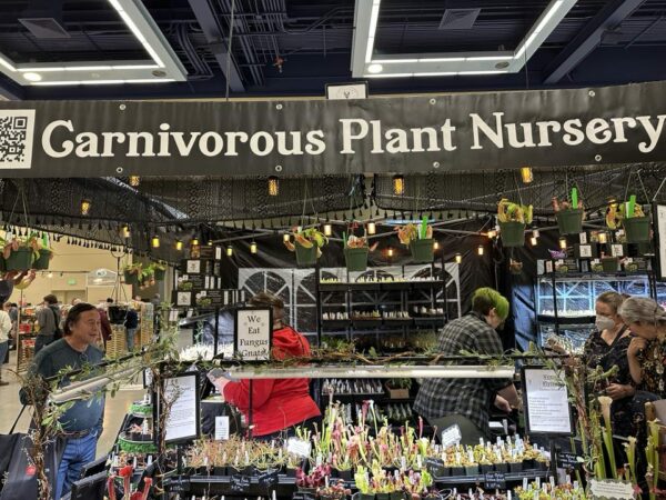 A section of the flower festival is devoted to carnivorous plants.