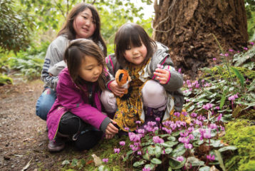Great gardens without crowds