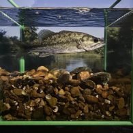 Life in One Cubic Foot