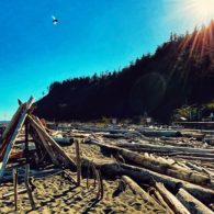 family getaways