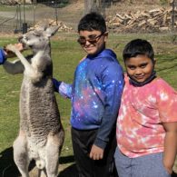 kangaroo ranch