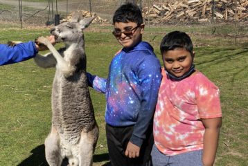 kangaroo ranch