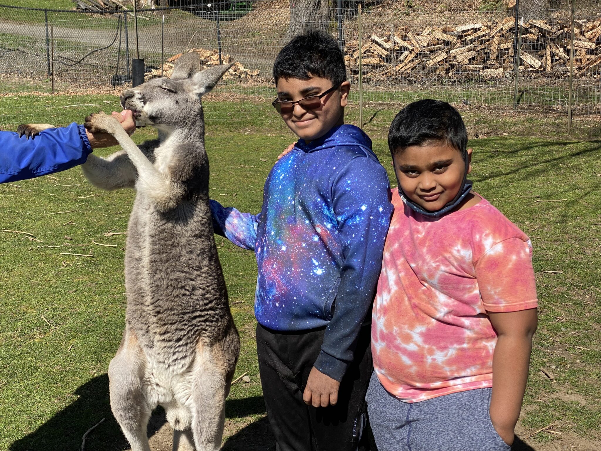 kangaroo ranch