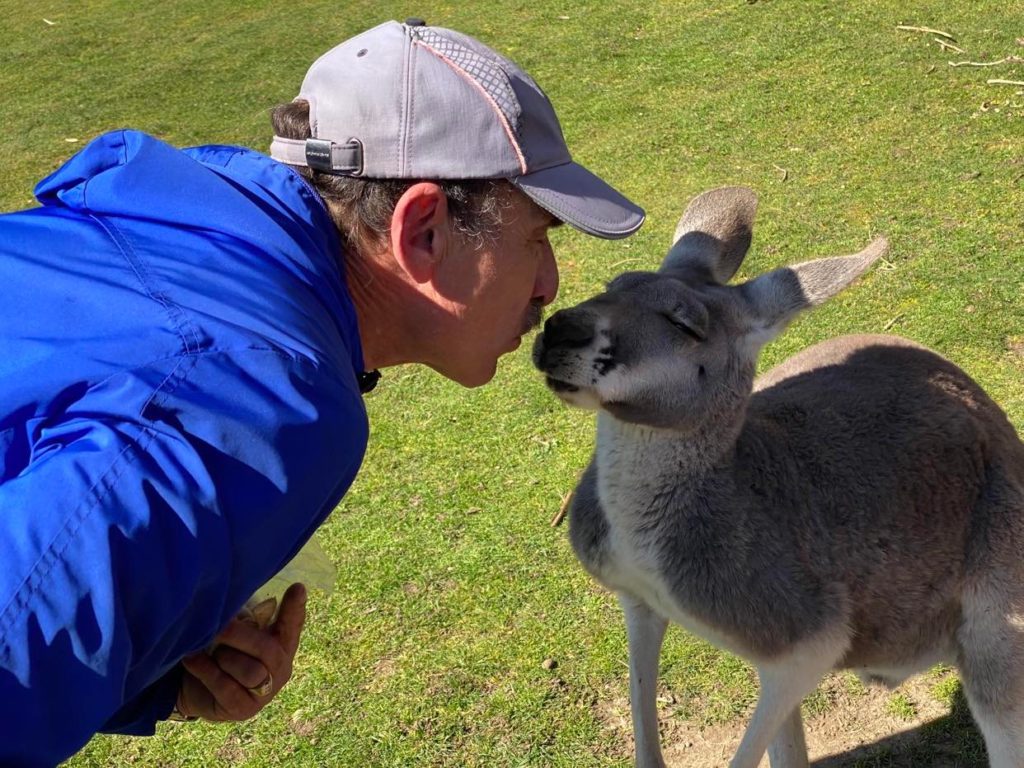 kangaroo ranch