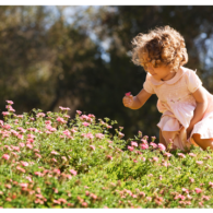 allergies or COVID?