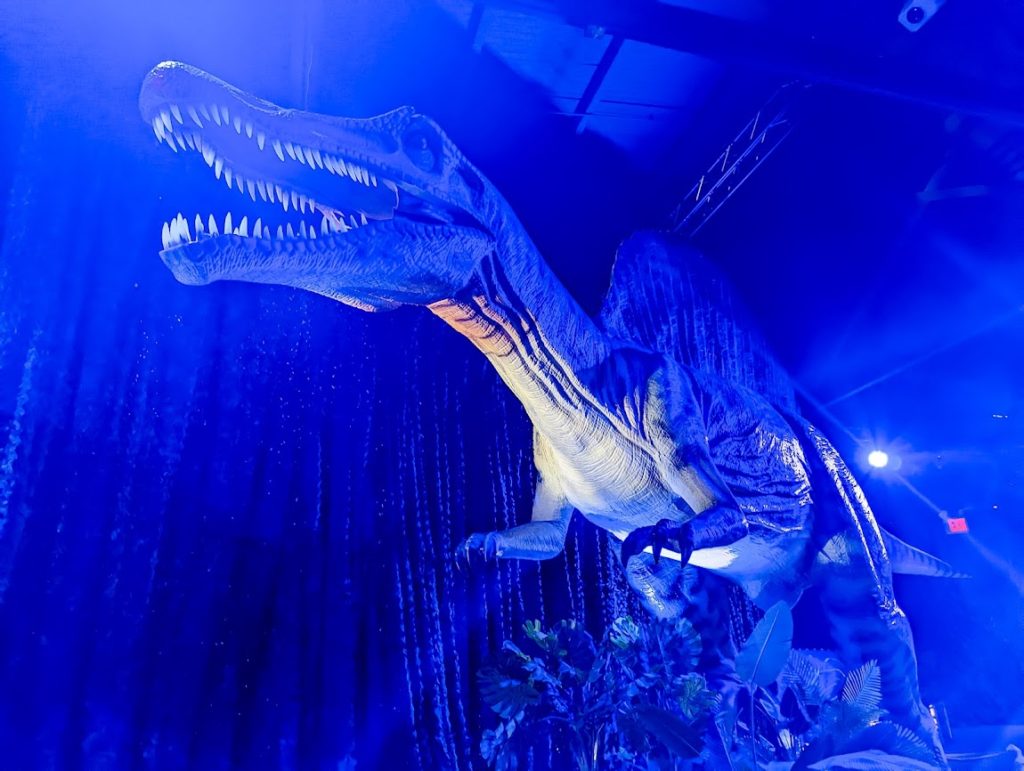 Large models of dinosaurs at the museum.