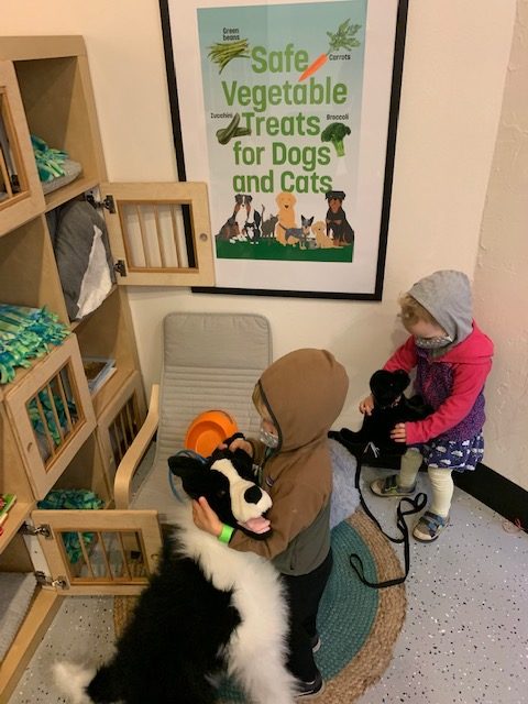 Children are examining stuffed animals in an imaginary vet clinic