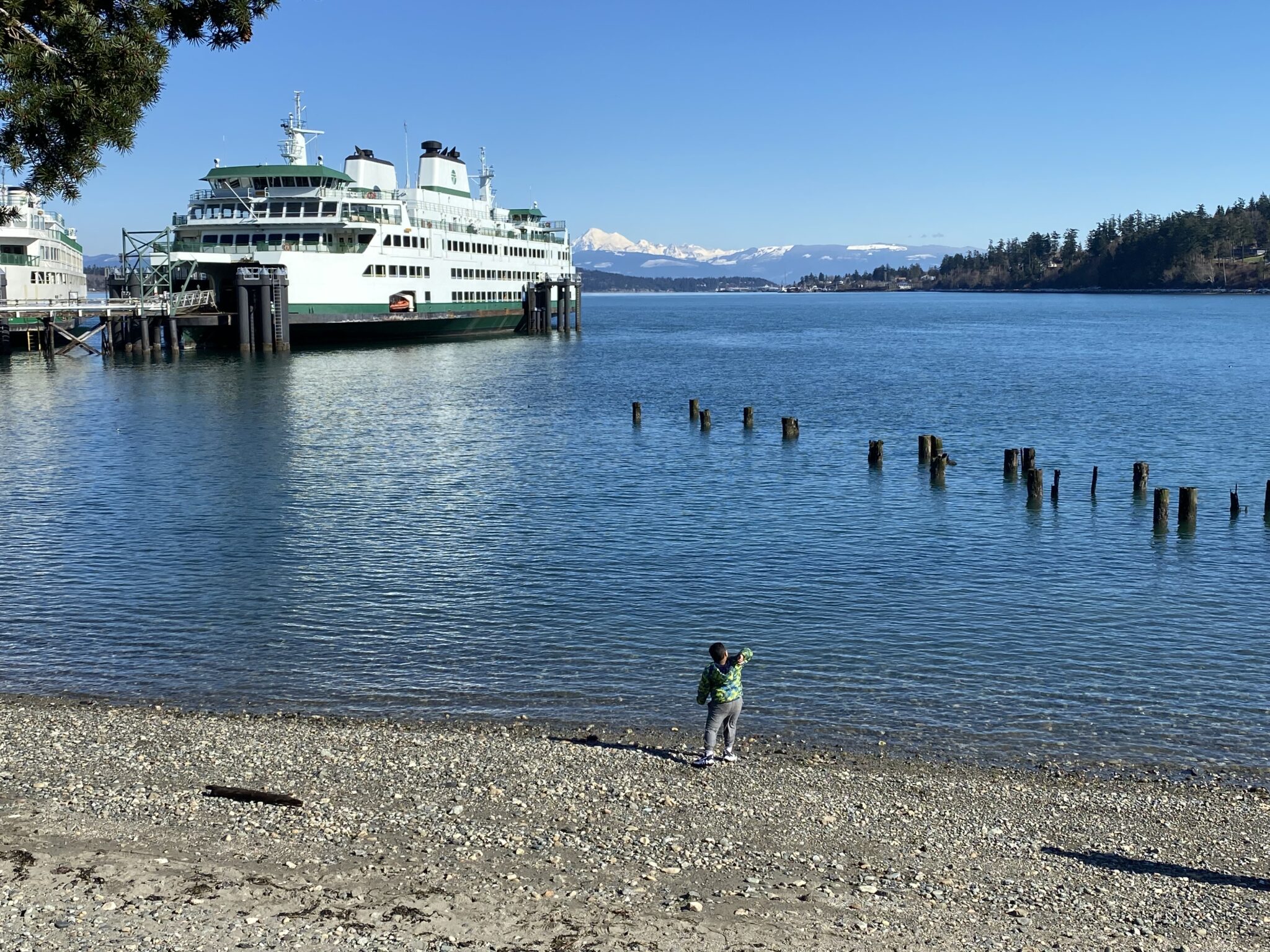 Throwing rocks at the shore as we wait to board the ferry at Anacortes, on our way to San Juan Island