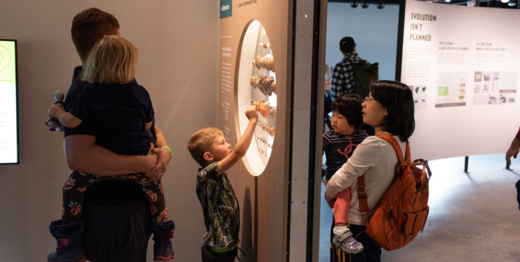 The Amazing Life exhibit at the Burke Museum - free admission on Free First Thursday.