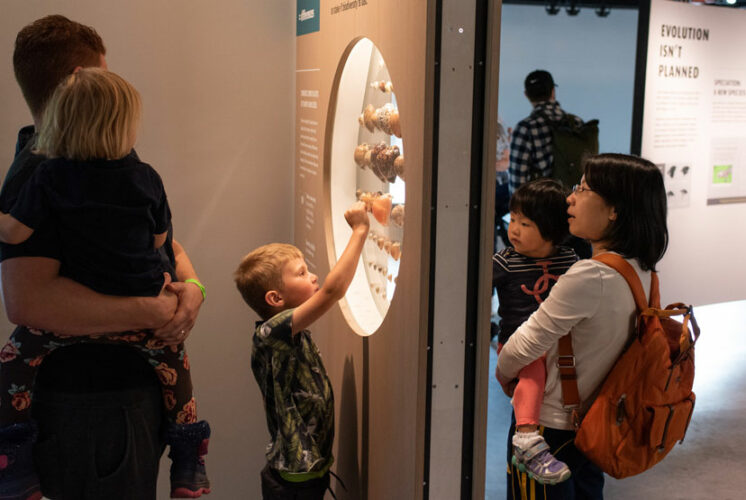 The Amazing Life exhibit at the Burke Museum - free admission on Free First Thursday.