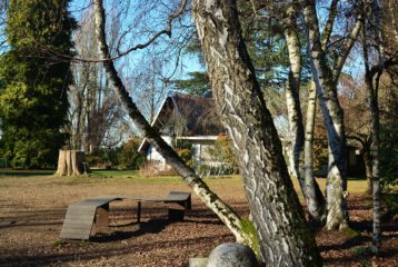 New Capitol Hill Park?