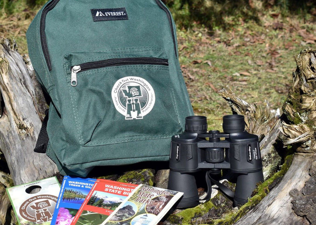 park pass library card