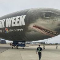 Shark Week