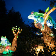 WildLanterns
