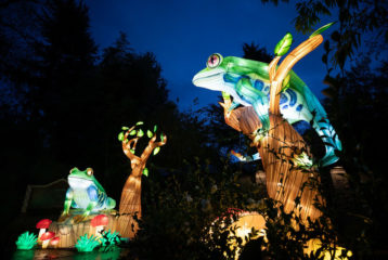 WildLanterns