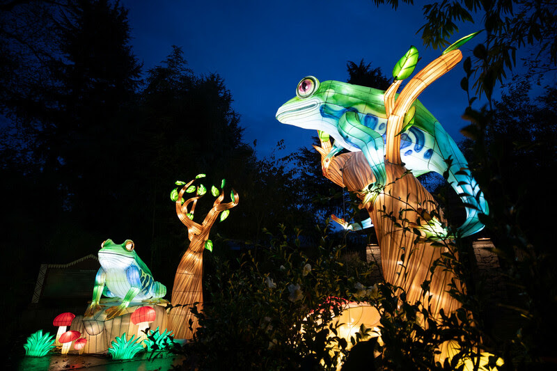 WildLanterns