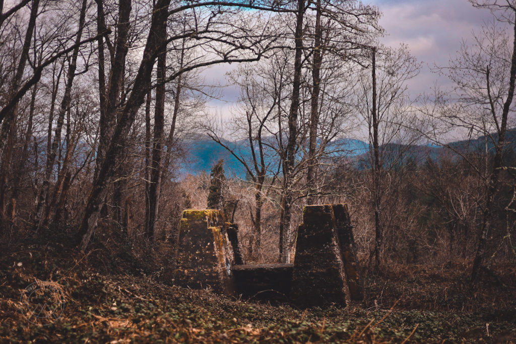 Explore one of many foundation buildings on the Franklin Ghost Town Trail.