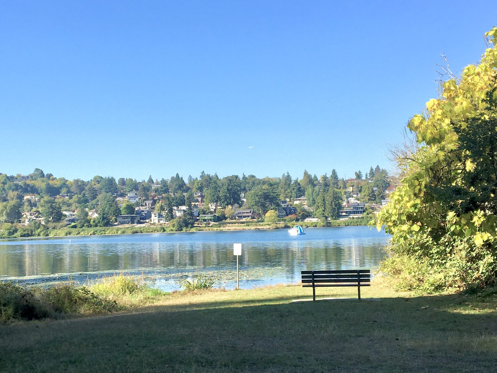 Seward Park 