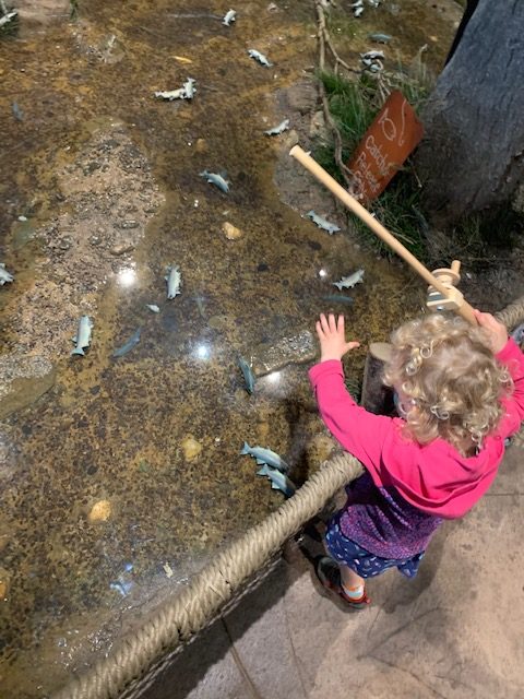 Playing a fishing game at the museum