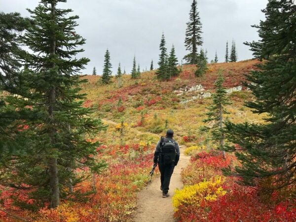 Hiker on Naches Peak Loop trail surrounded by fall colors