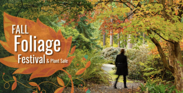 fall foliage festival